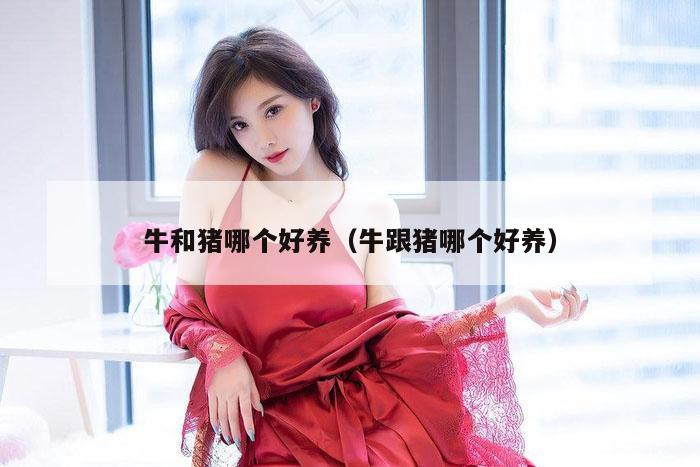 牛和猪哪个好养(牛跟猪哪个好养)